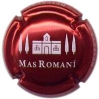 MAS ROMANI V. 8669 X. 31876