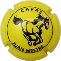 JUAN MESTRE V. 12845 X. 39793