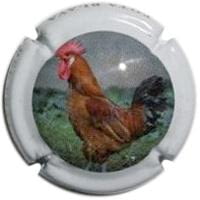 MONT-MARÇAL V. 21930 X. 77203 (POTA BLAVA DEL PRAT)