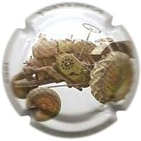 JOAN SARDA V. 24231 X. 78556 (ALLGAIER)