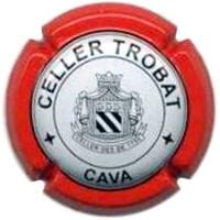 CELLER TROBAT V. 6175 X. 21549 (FALDO VERMELL)