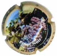 CUSCO BERGA V. 17148 X. 62136 (PINOT NOIR)