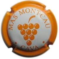 MAS MONTCAU V. 21842 X. 74796