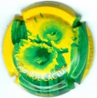 JOAN PIÑOL TORRENTS V. 18585 X. 63860