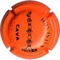 SALSENCH V. 15408 X. 48781 (TARONJA FLORESCENT)