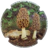 ROGER BERTRAND V. 17594 X. 56158