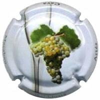 CAL LLUSIA V. 21090 X. 83069 (MACABEU)