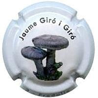 JAUME GIRO I GIRO V. 26786 X. 96128 (FREDOLIC)
