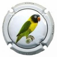 CAL LLUSIA V. 21062 X. 82177 (AGAPORNI)