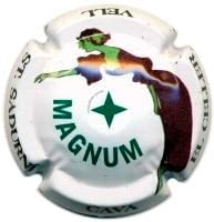 EL CELLER VELL V. 15577 X. 50222 MAGNUM