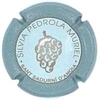 SILVIA PEDROLA MURIEL V. 5072 X. 05817