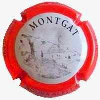 ROURA V. 22276 X. 79528 (MONTGAT)