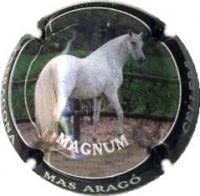 CELLERS CAMP DE TARRAGONA V. 17118 X. 62530 MAGNUM