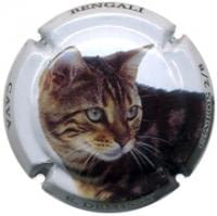 E. DEMISSY V. 25318 X. 86750 (BENGALI)