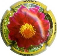 PERE RIUS V. 22929 X. 85364