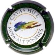CAVAS HILL V. 8596 X. 29522 (VERD MATE)