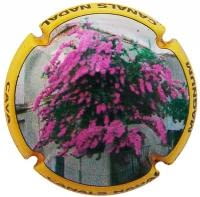 CANALS NADAL V. 24574 X. 59584 MAGNUM