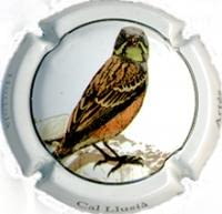 CAL LLUSIA V. 18346 X. 63301 (HORTOLÀ)