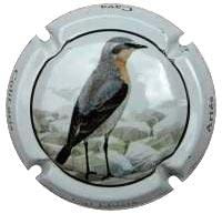 CAL LLUSIA V. 18983 X. 68418 (COLIT GRIS)