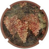 MARIA OLIVER PORTI V. 26563 X. 96366