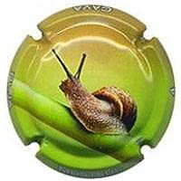 MUSTEUS V. 26507 X. 96357