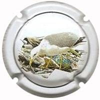 CAL LLUSIA V. 21051 X. 81361 (GAVIA ARGENTAT)