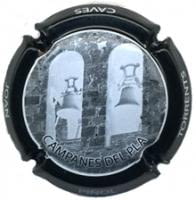 JOAN PIÑOL TORRENTS V. 23301 X. 86376