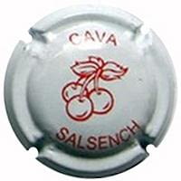 SALSENCH V. 23594 X. 85934