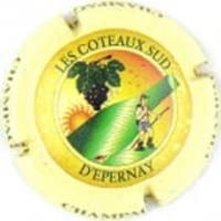 COTEAUX SUD EPERNAY X. 29773 (FRA)