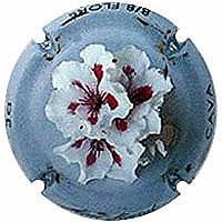 MONT-MARÇAL V. 30278 X. 105992