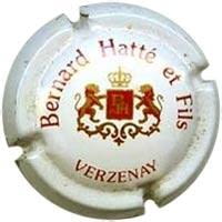 HATTE, Bernard X. 10381 (FRA)