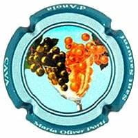 MARIA OLIVER PORTI V. 29644 X. 105093