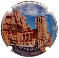 OLIVELLA JUNQUE V. 30848 X. 109651 (MONTSERRAT)