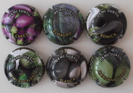 DEMI SUBTIL JUEGO 6 PLACAS V. 30696 A 30701 (ALBERGINIES)