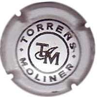 TORRENS MOLINER V. 0697B X. 12873 DIBUIX GRUIXUT