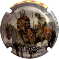 MIL.LIARI V. 23906 X. 89599