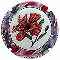 CALDERE V. 26462 X. 104253