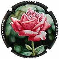 BUTI-MASANA V. 30647 X. 106841 ROSADO