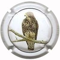 CAL LLUSIA V. 21047 X. 81371 (ALIGOT COMU)