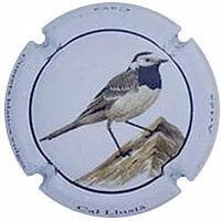 CAL LLUSIA V. 21064 X. 83847 (CUERETA BLANCA)