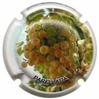 MAS CANCOLOME X. 80706 (PARELLADA)