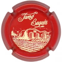 JANE BAQUES V. 28513 X. 100952