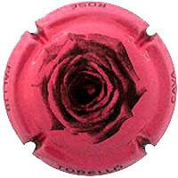 TORELLO X. 118272 (ROSE PALID)