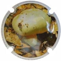 ROGER BERTRAND V. 22216 X. 80803 (LLORA VERDA)