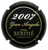 BERDIE ROMAGOSA V. 31052 X. 110771 (2007)