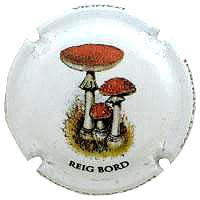 MARIA OLIVER PORTI V. 32662 X. 117564