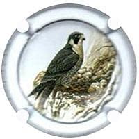 CAL LLUSIA V. 21073 X. 98284 (FALCO PELEGRI)