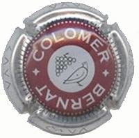 COLOMER BERNAT V. 2010 X. 02289