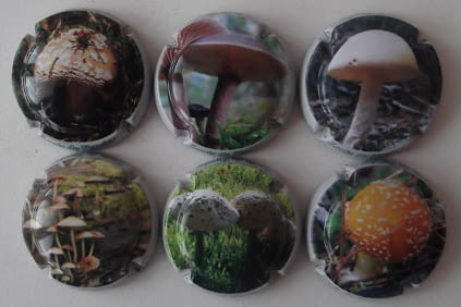 LOUIS DE VERNIER JUEGO 6 PLACAS X. 114895-952-53-54-55-65 (SETAS)