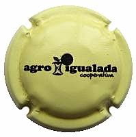 AGRO IGUALADA COOP. V. 25478 X. 89993